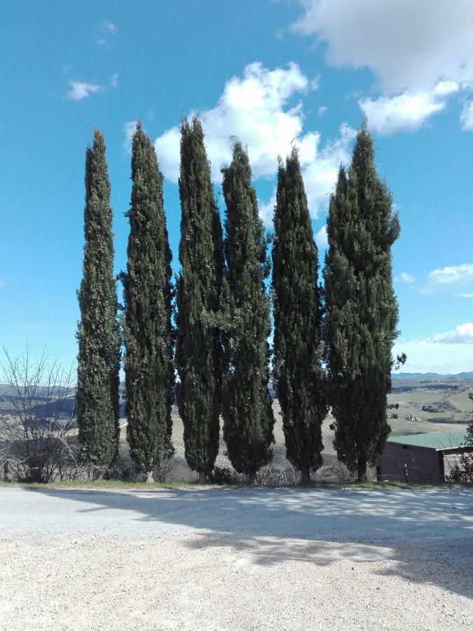 Country House Martina Castelnuovo Berardenga Kültér fotó